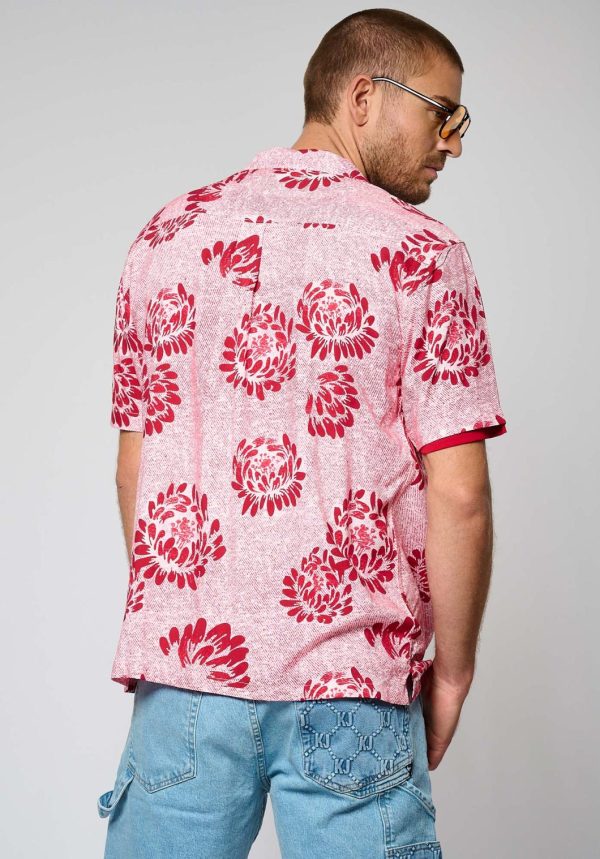 Youngwear.shop5fd7628622 3